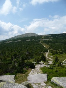 Pohled od Mužských kamenů -   cesta na vrchol